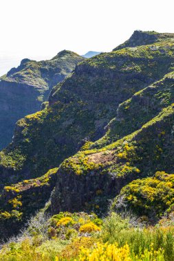 Portekiz 'in Madeira adasındaki güzel dağ manzarası