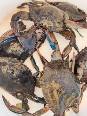 Mağazanın tezgahında bir sürü renkli yengeç var.