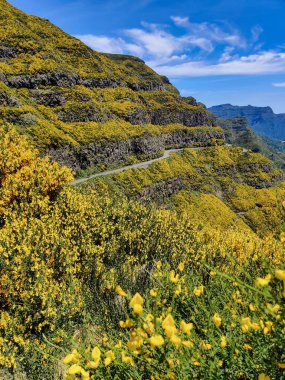 Portekiz 'in Madeira adasındaki güzel dağ manzarası