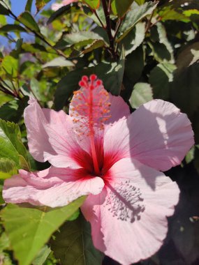 Güzel bir şamandıraya yakın çekim
