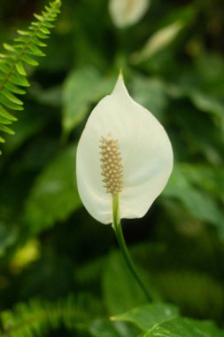 Güzel bir şamandıraya yakın çekim