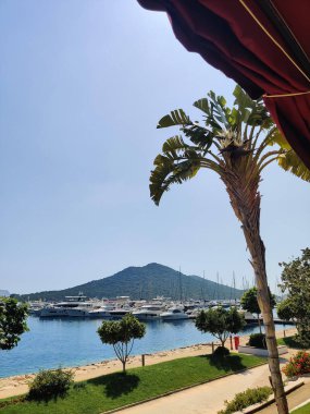 Güzel gemiler ve tekneler kıyıya yakın demirlemiş.