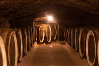 Şaraphanedeki mahzende bir sürü şarap varili var.