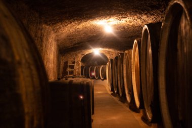 Şaraphanedeki mahzende bir sürü şarap varili var.
