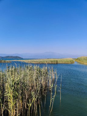Dağların arka planına karşı gölün güzel manzarası