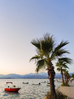 Güzel gemiler ve tekneler kıyıya yakın demirlemiş.