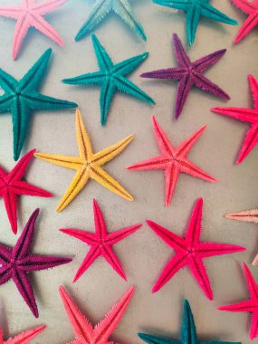 Gri arkaplandaki renkli deniz yıldızının bileşimi