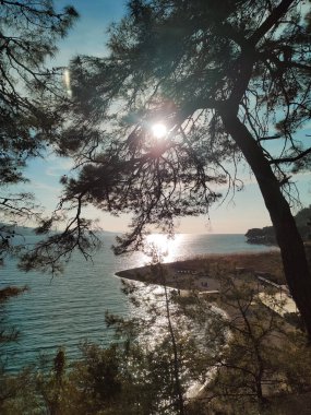 Güzel deniz manzarası ve büyük ağaçlar.