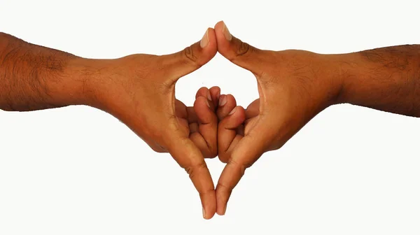 Hand Mudras Includes Mudras Yoni Mudra Gestures Isolated White Background — Stock Photo, Image