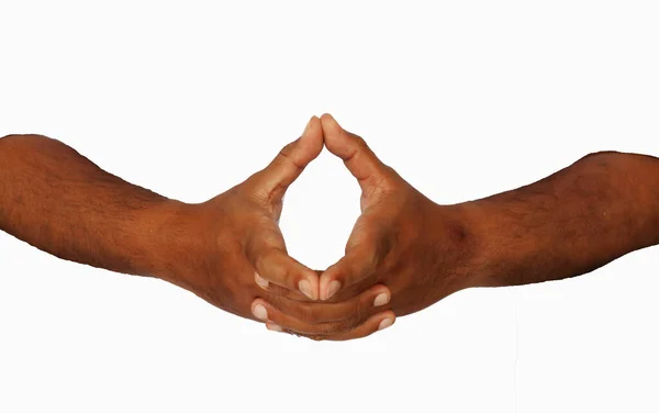 Hand Mudras Includes Mudras Gestures Isolated White Background — Stock Photo, Image