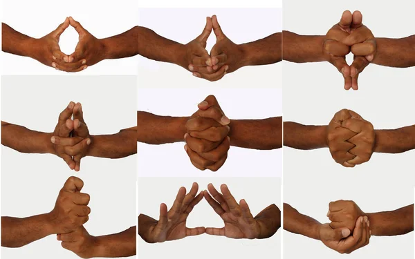 Hand Set Mudras Includes Mudras Gestures Isolated White Background — Stock Photo, Image