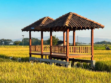 Kulübe. Asya 'da pirinç tarlalarının ortasında geleneksel çiftçi kulübesi. çardak, pergola, kulübe, kulübe, pirinç tarlalarındaki kulübe