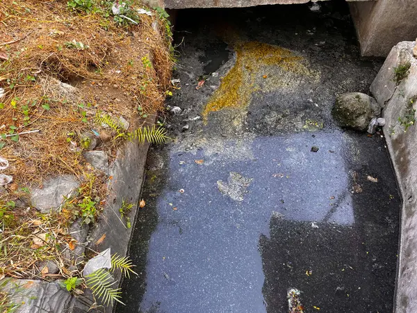 sewer. waste water flow to sewer with moss, bad water from city, water pollution, sewer drain pipe dirt sewage water drain. contaminated with waste