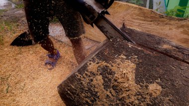 Oduncunun biri elektrikli testere kullanarak odun kesiyor..