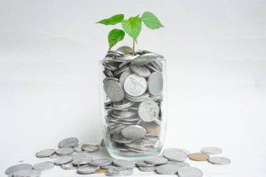 Bozuk paralar, beyaz arka planda büyüyen cam bitkiler. Para tasarrufu kavramı