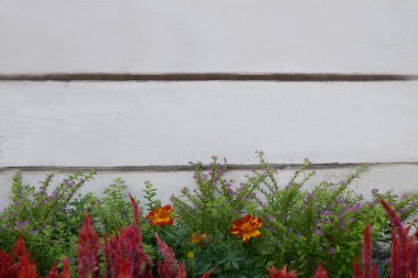 Tahta duvar, çiçek ve metinler için alan