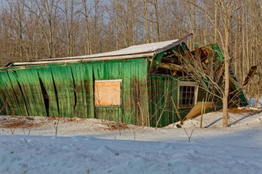Eski yeşil ahır yapısı yaşlılık ve kışın yoğun kar yağışı nedeniyle çöker. Yüksek kalite fotoğraf