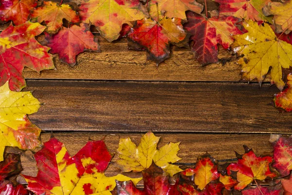 stock image Colorful autumn maple leaves on dark wooden background