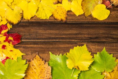 Sarı kuru yapraklı sonbahar arkaplanı