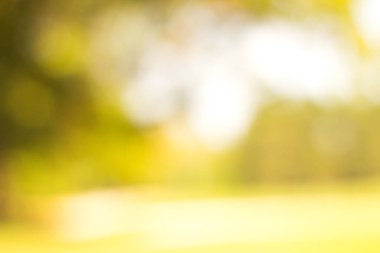 Outdoor park with tree and bokeh light, blur background. Abstract blur image of walkway in the park
