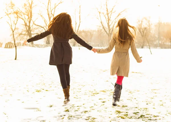 Due Migliori Amici Che Camminano Insieme Nella Neve — Foto Stock