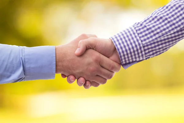 Nature\'s Connection: Embracing collaboration with a Handshake against a serene nature background
