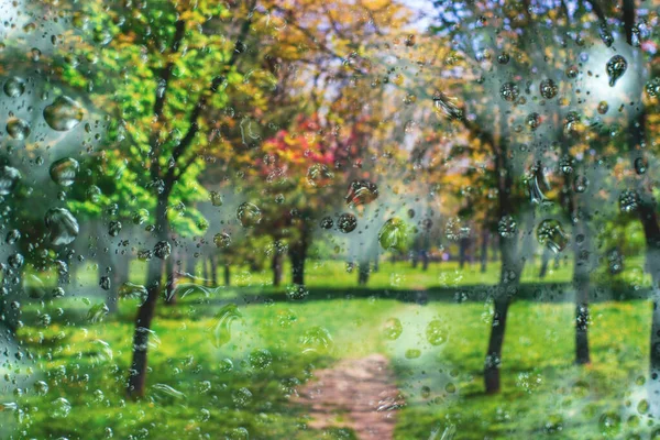 Padající Déšť Veřejném Parku — Stock fotografie