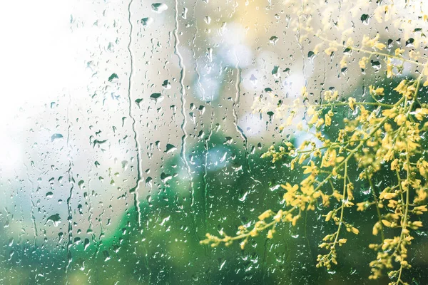 Condensation Windowpane Spring Background — Stock Photo, Image