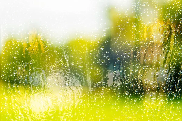 Весна Лето Фон Природы Капля Воды Листьях Цветах Копировальным Местом — стоковое фото