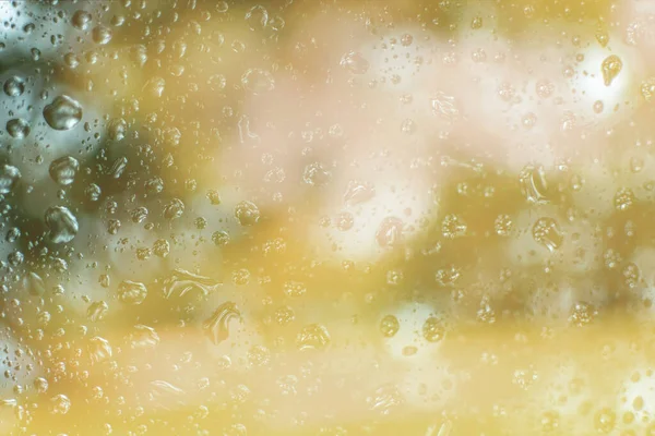 夏の自然背景 コピースペース付き葉や花に水滴 ロイヤリティフリーのストック画像