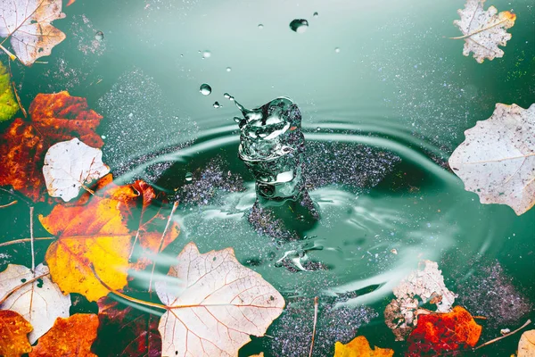Regen Der Herbst Einen Teich Plätschert lizenzfreie Stockbilder