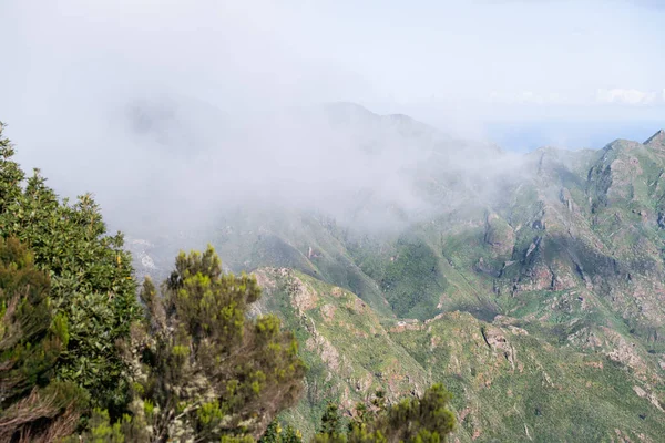 Bellissimo Paesaggio Delle Verdi Montagne Del Nord Tenerife Ricoperto Sottile — Foto Stock