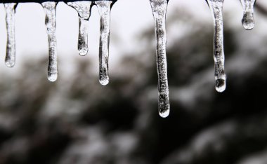 Donmuş akarsu üzerindeki donmuş kış manzarası.