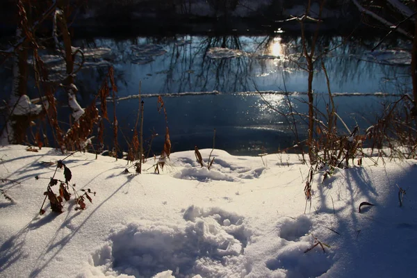 Gün Batımında Kış Manzarası Karla Kaplı Renkli Çalılar — Stok fotoğraf