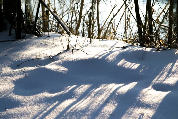 Зимний Лес Реке Пейзаж Деревьями Покрытыми Снегом Замерзшая Река Отражением — стоковое фото