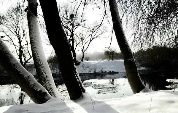Зимний Лес Пейзаж Деревьями Покрытыми Снегом Замерзшая Река Отражением Воде — стоковое фото