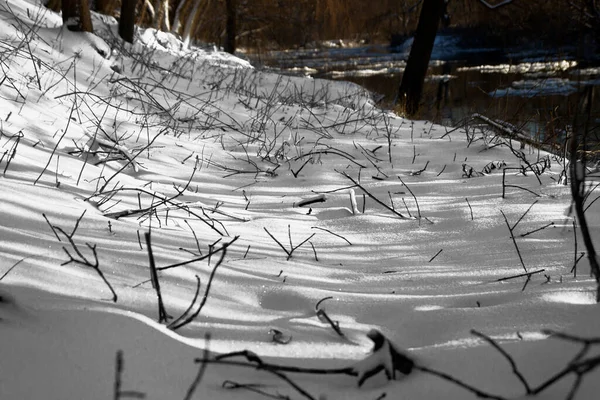 Crepúsculo Floresta Selvagem Coberta Neve Atmosfera Solidão Medo — Fotografia de Stock