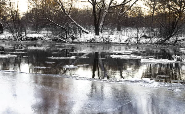Vinterskog Vid Floden Landskap Med Träd Täckta Med Snö Och — Stockfoto