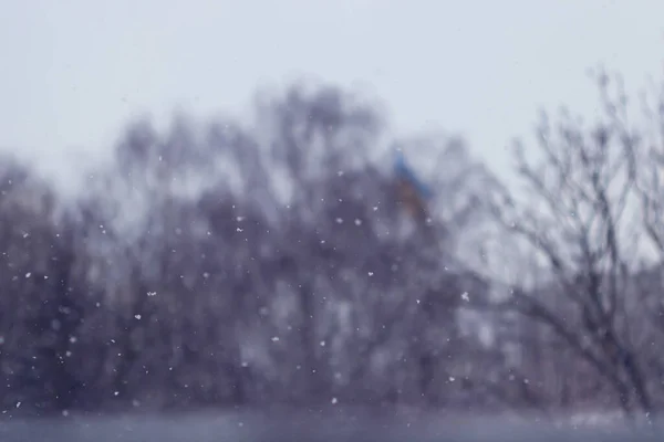 Winter city landscape. Close -down snow. Blurry background.