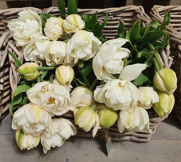 Sepetteki güzel beyaz lalelerin yakın çekimi.