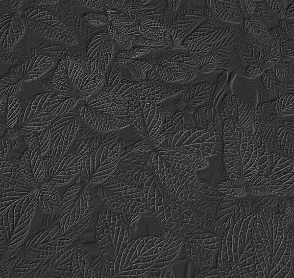 siyah kağıt yaprak dokusu arkaplanı
