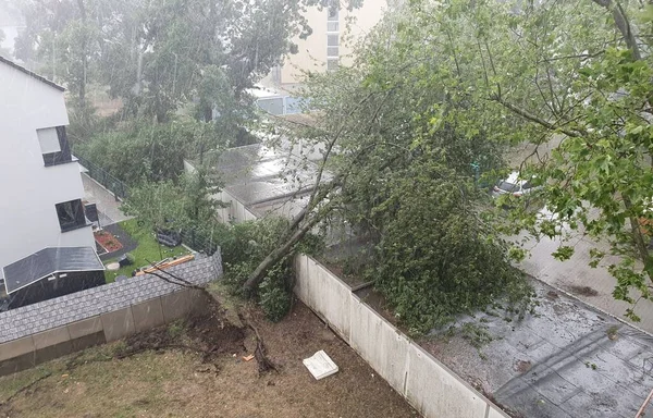 Sonra fırtına sökülüp ağaç