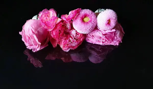 Siyah arka planda güzel pembe çiçeklerin yansıması.