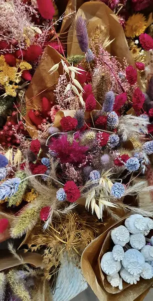 Güzel renkli kuru çiçekler, kapatın.