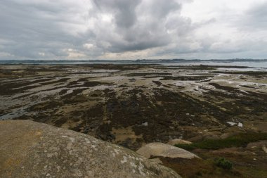 Fransa 'nın Callot, Carantec, Brittany adasından görülen gelgit sırasında bir koydaki istiridye çiftliği manzarası
