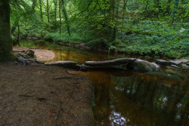 Huelkeçi, Brittany, Fransa 'nın güzel peri masalı ormanından bir nehri geçmek