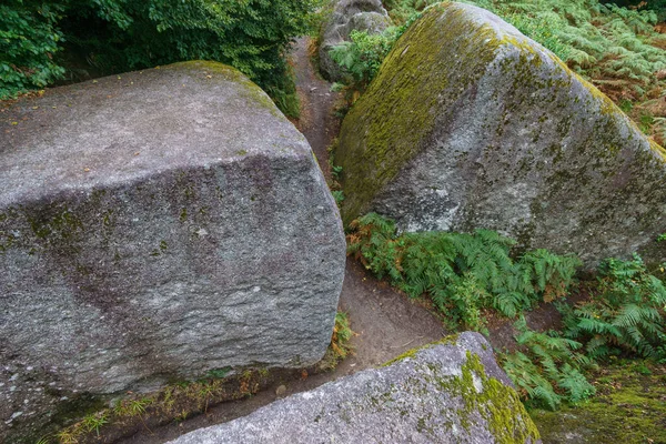 Grandes Piedras Guijarro Dentro Del Bosque Cuento Hadas Cubierto Musgo — Foto de Stock