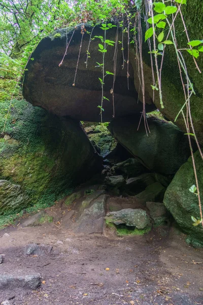 Bosque Cuento Hadas Con Hiedra Mágica Colgando Frente Una Cueva — Foto de Stock