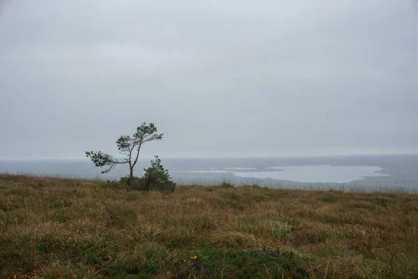 Foggy Landskap Med Små Träd Och Sjö Reservoir Saint Michel — Stockfoto