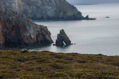 Kayalık kayalıklar ve Pointe de Pen-Hir kıyısında kemerli granit kayalar. Önlerinde biraz funda, Crozon yarımadası, Brittany, Fransa
